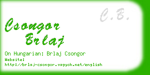 csongor brlaj business card